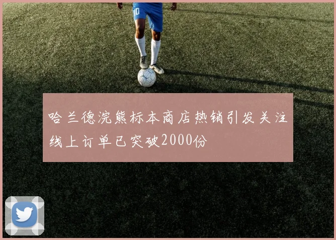 哈兰德浣熊标本商店热销引发关注线上订单已突破2000份