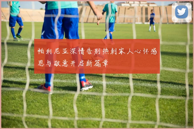 帕利尼亚深情告别热刺家人心怀感恩与敬意开启新篇章